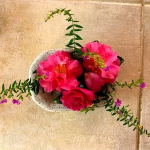 Meet your Posher, PRSCloset